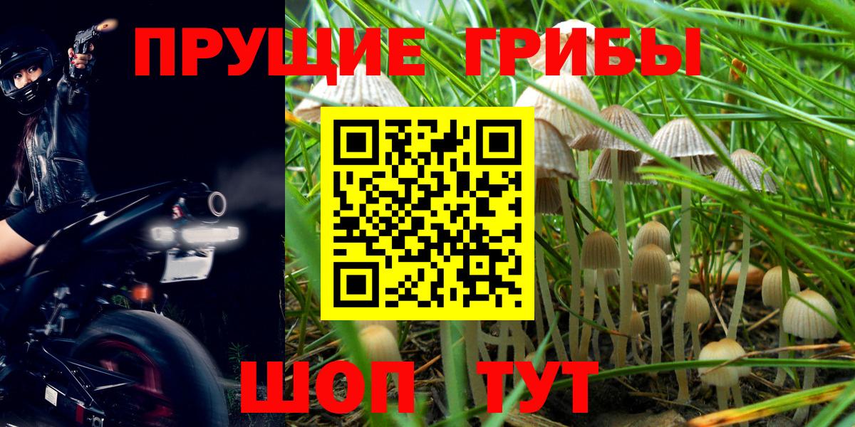 Псилоцибиновые грибы прущие грибы Куйбышев