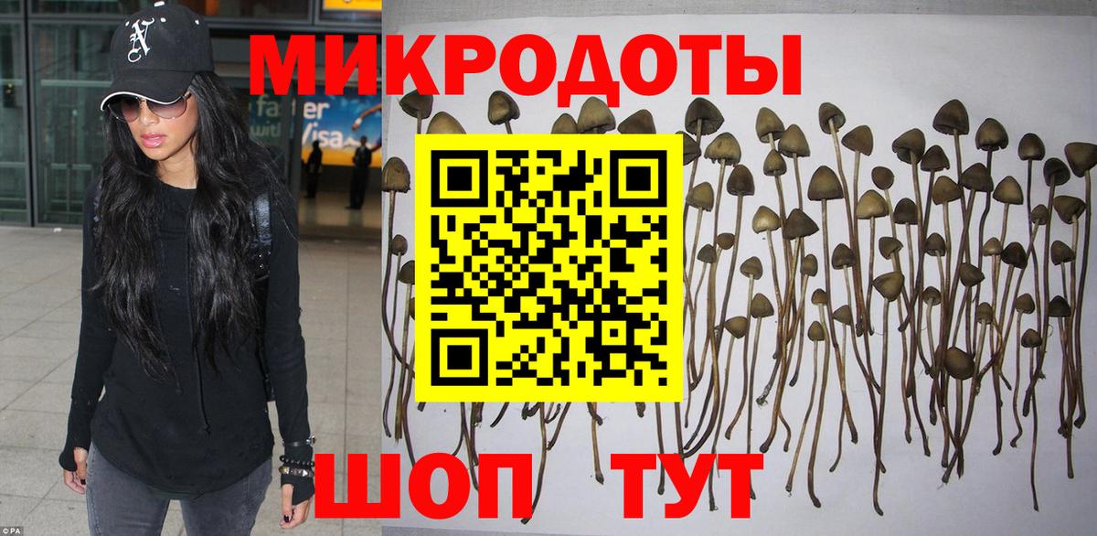 Куйбышев  Галлюциногенные грибы мухоморы  Галлюциногенные грибы ЛСД  Вход с VPN 